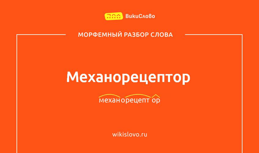Морфемный разбор слова механорецептор
