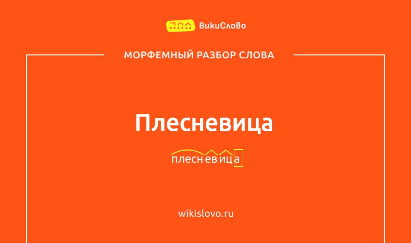 Морфемный разбор слова плесневица