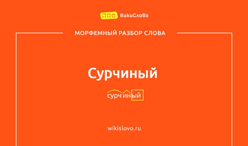 Морфемный разбор слова сурчиный
