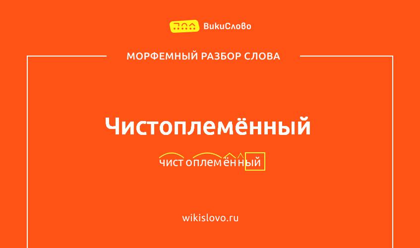 Морфемный разбор слова чистоплемённый