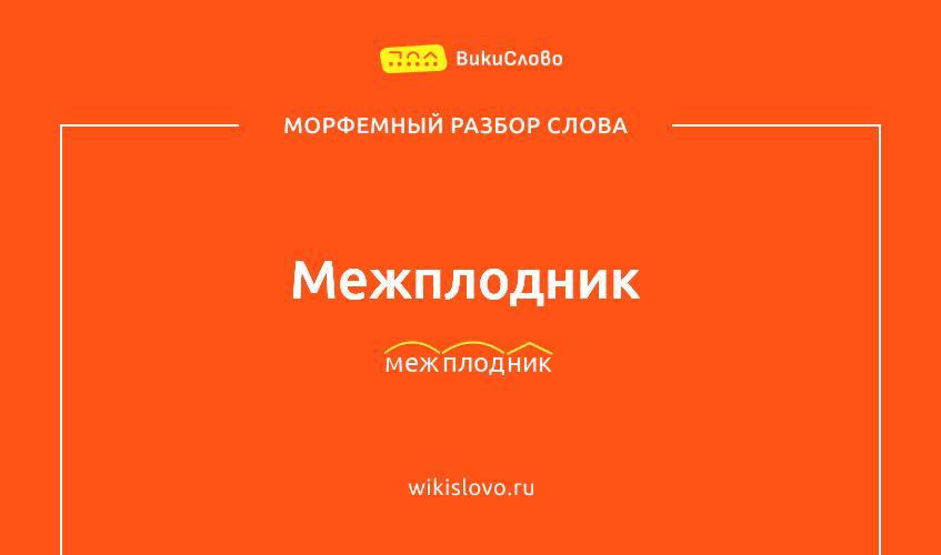 Морфемный разбор слова межплодник