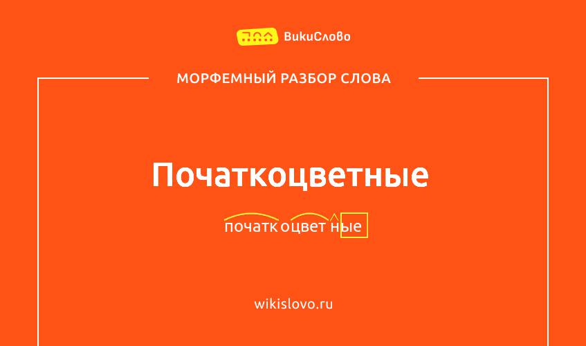 Морфемный разбор слова початкоцветные
