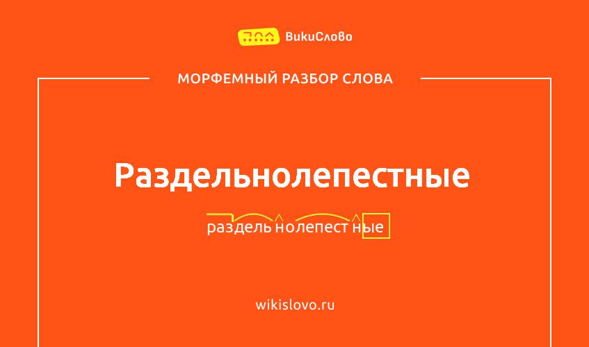 Морфемный разбор слова раздельнолепестные