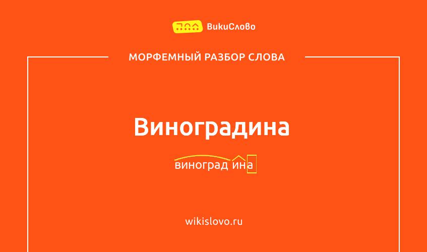 Морфемный разбор слова виноградина
