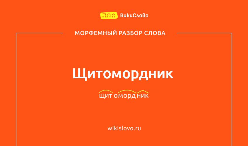 Морфемный разбор слова щитомордник