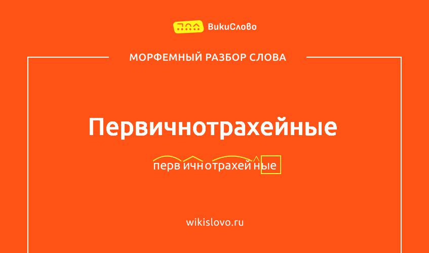 Морфемный разбор слова первичнотрахейные