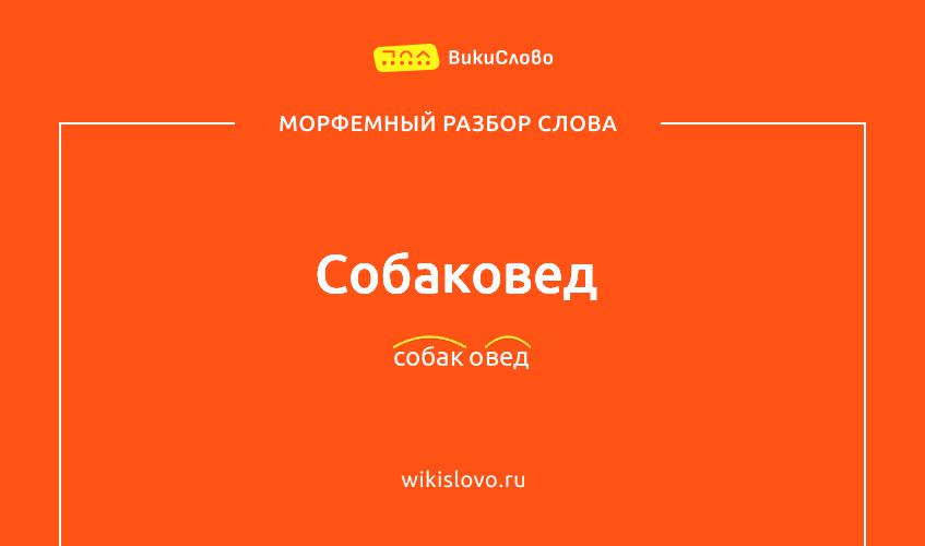 Морфемный разбор слова собаковед