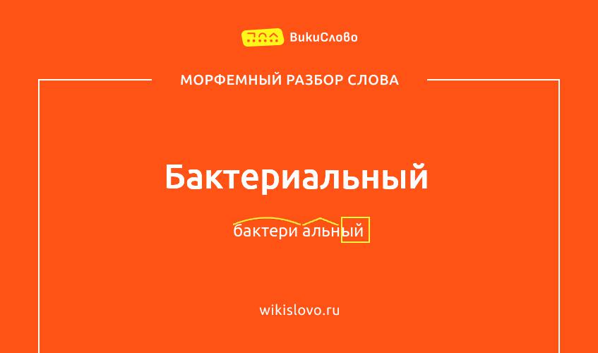 Морфемный разбор слова бактериальный