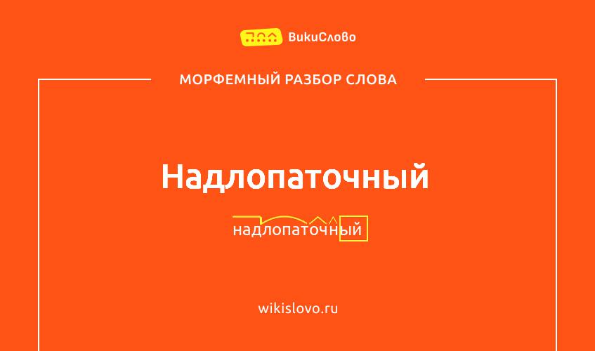 Морфемный разбор слова надлопаточный