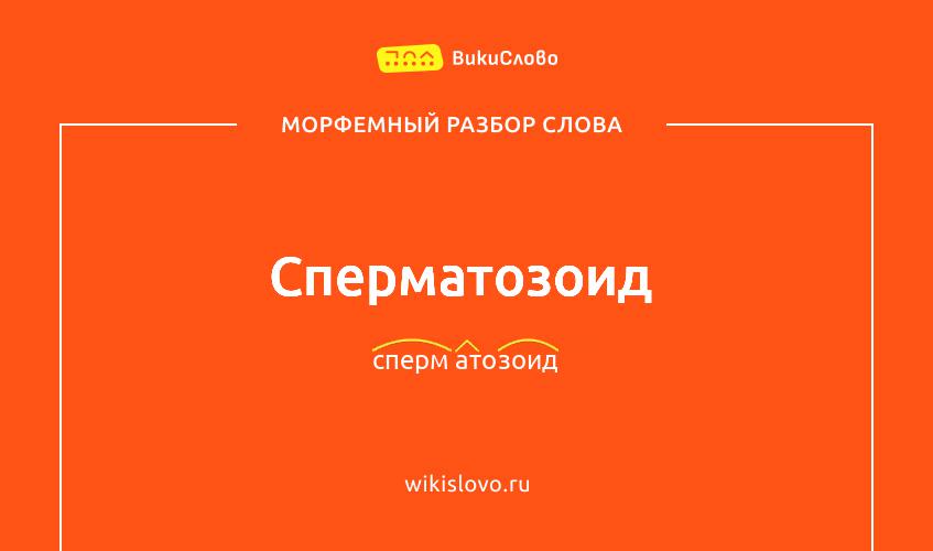 Морфемный разбор слова сперматозоид