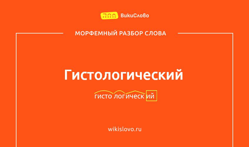 Морфемный разбор слова гистологический
