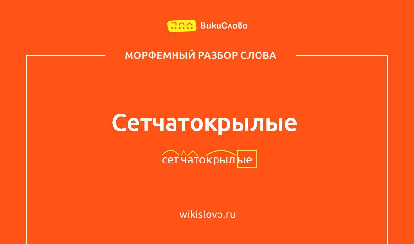 Морфемный разбор слова сетчатокрылые