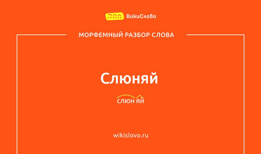 Морфемный разбор слова слюняй