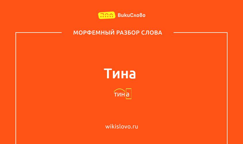 Морфемный разбор слова тина