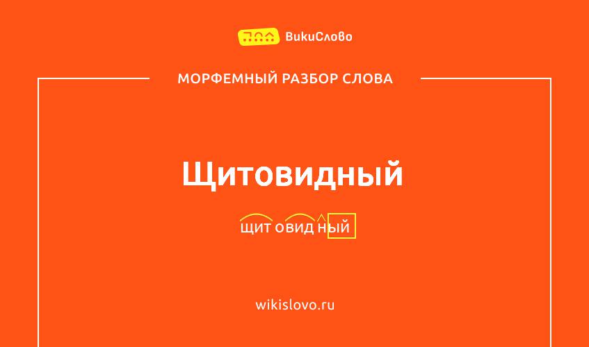 Морфемный разбор слова щитовидный