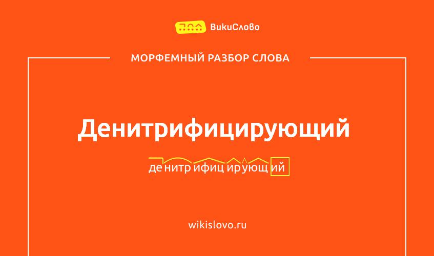 Морфемный разбор слова денитрифицирующий