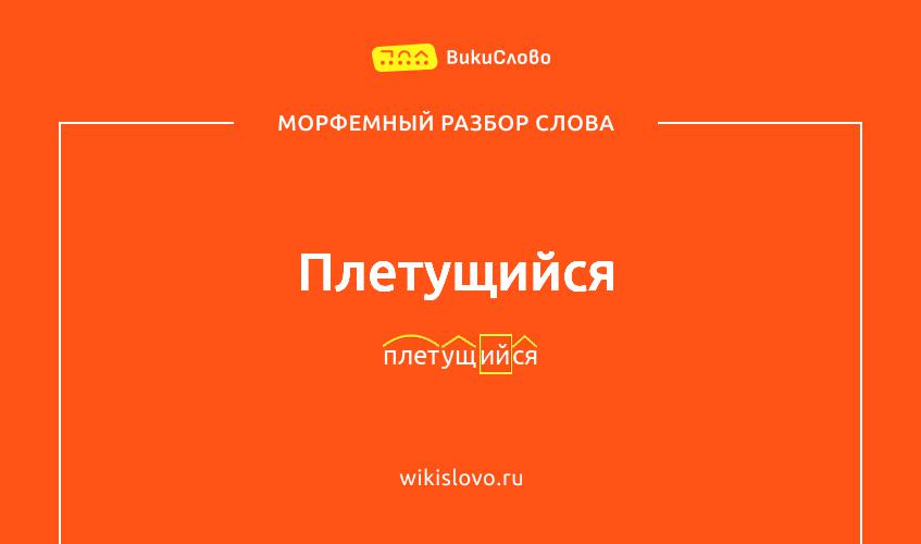 Морфемный разбор слова плетущийся