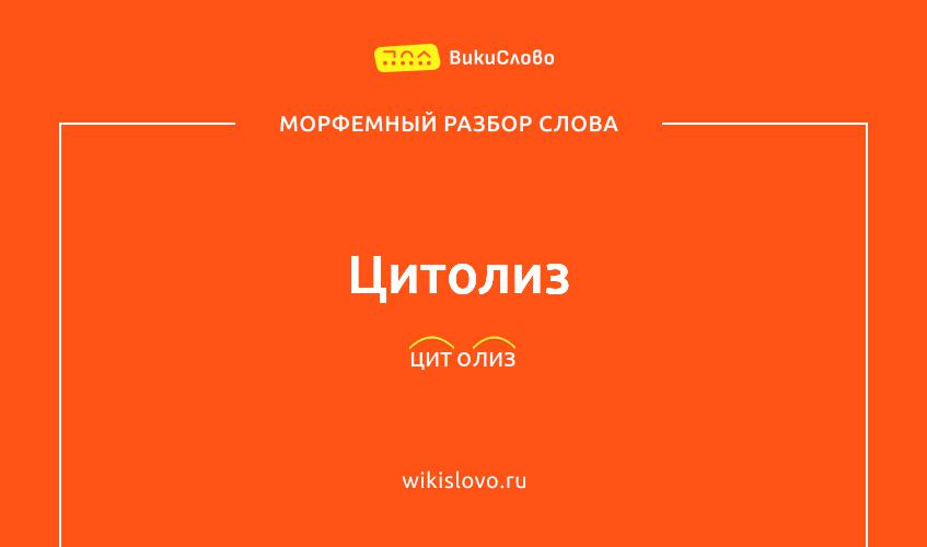 Морфемный разбор слова цитолиз