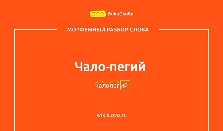 Морфемный разбор слова чало-пегий