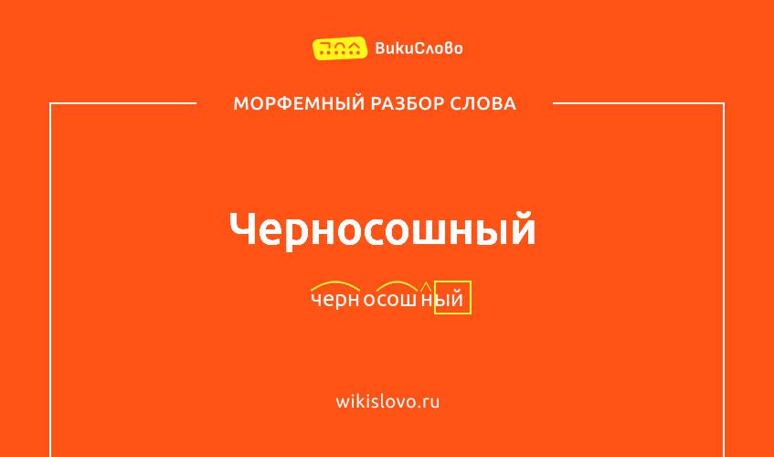 Морфемный разбор слова черносошный