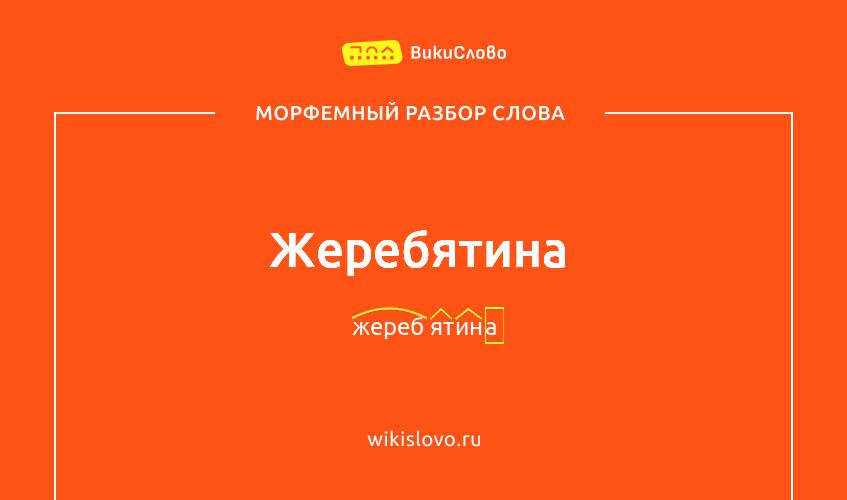 Морфемный разбор слова жеребятина