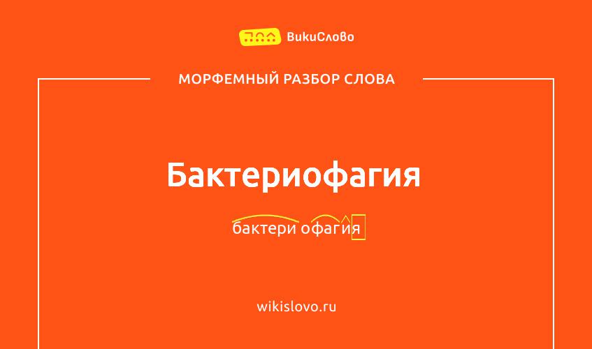 Морфемный разбор слова бактериофагия
