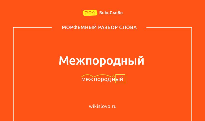 Морфемный разбор слова межпородный
