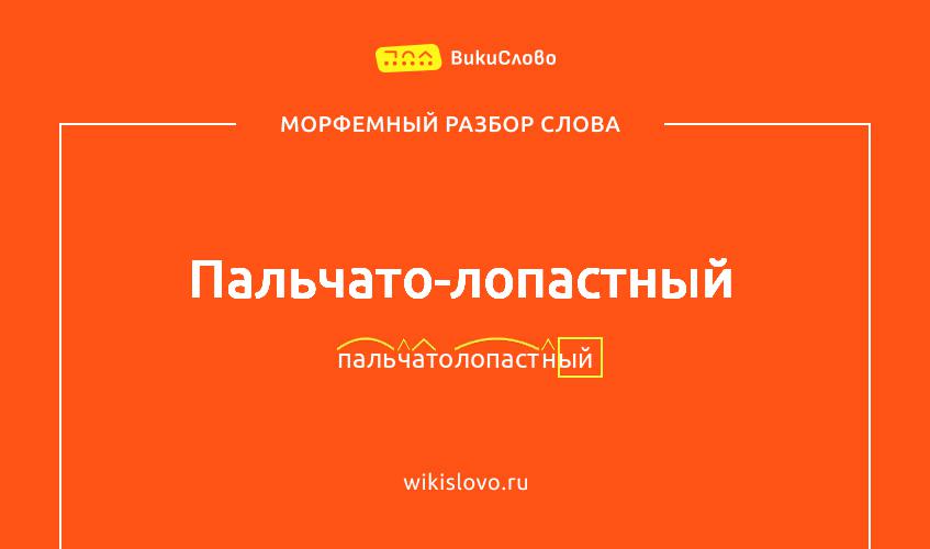 Морфемный разбор слова пальчато-лопастный