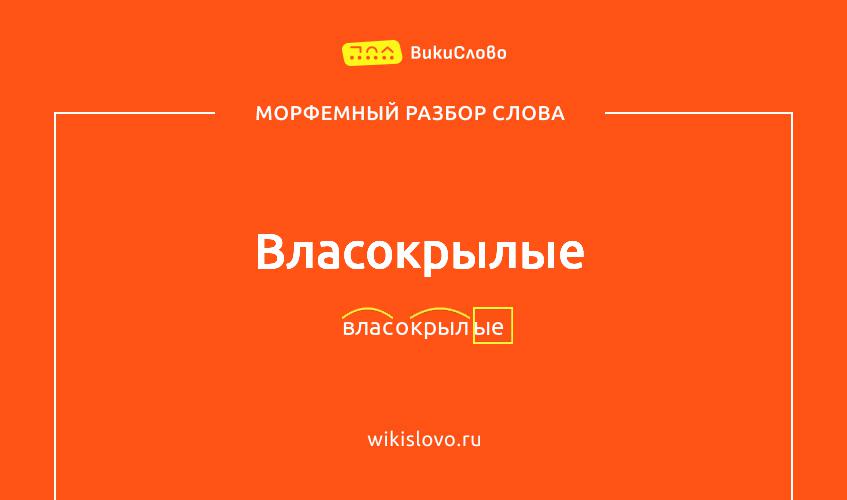 Морфемный разбор слова власокрылые