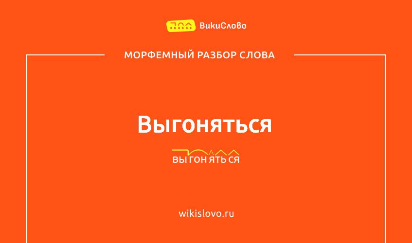 Морфемный разбор слова выгоняться