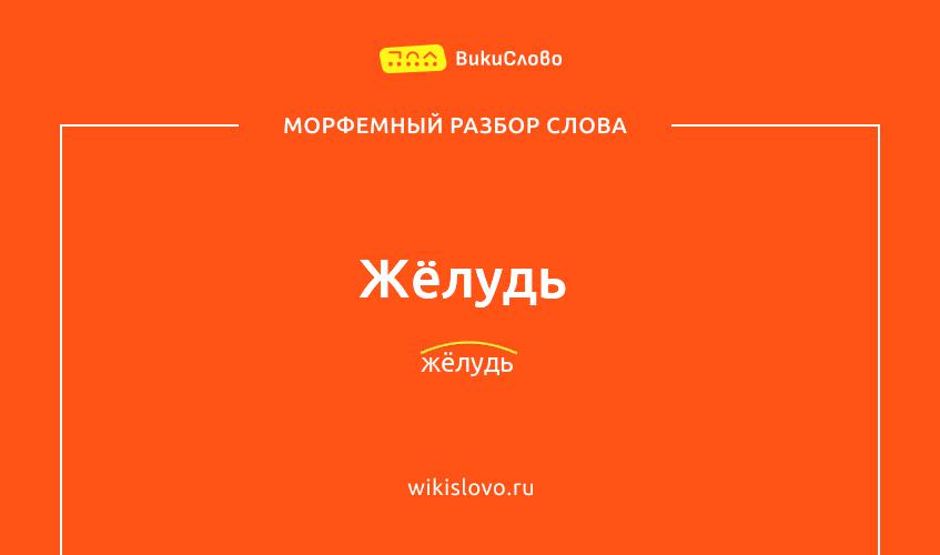 Морфемный разбор слова жёлудь
