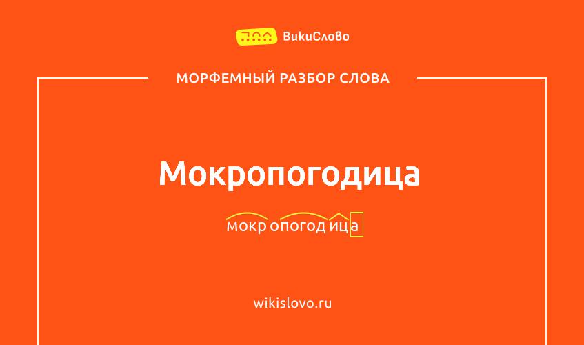 Морфемный разбор слова мокропогодица