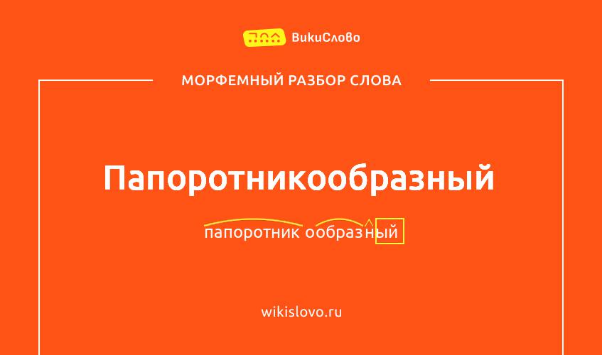 Морфемный разбор слова папоротникообразный