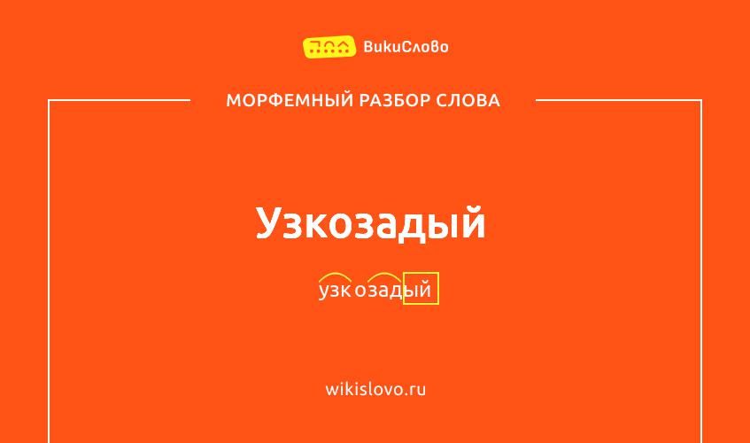 Морфемный разбор слова узкозадый