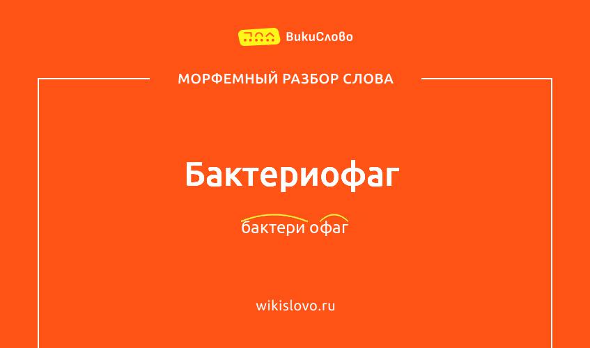 Морфемный разбор слова бактериофаг