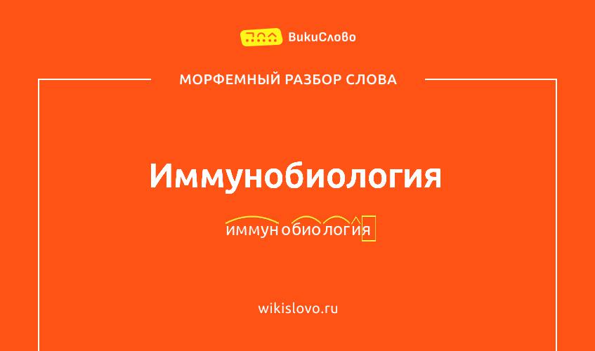 Морфемный разбор слова иммунобиология