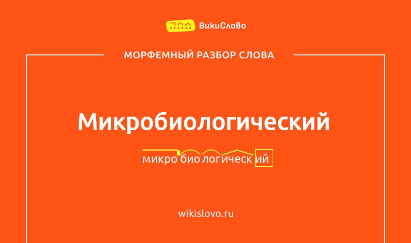 Морфемный разбор слова микробиологический