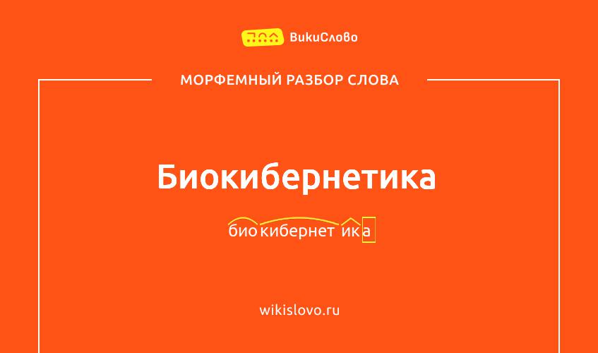 Морфемный разбор слова биокибернетика