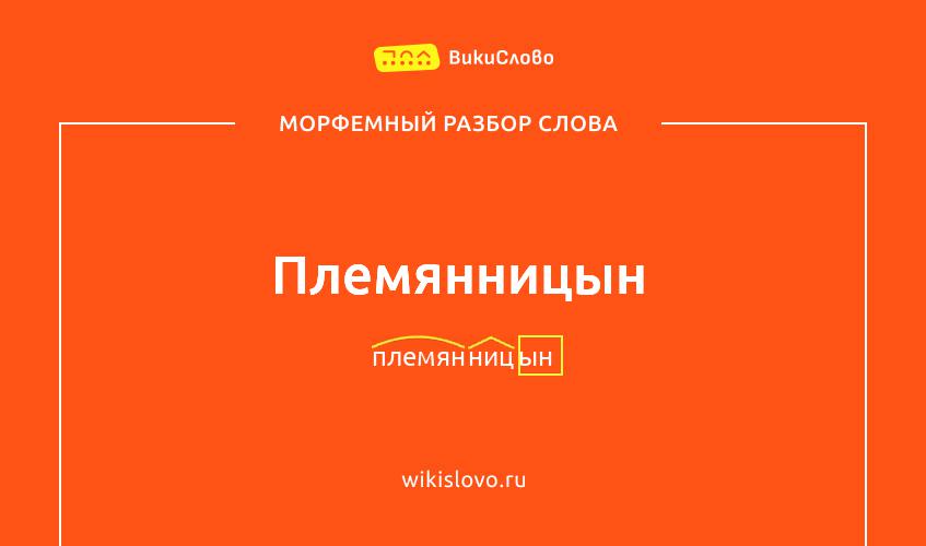 Морфемный разбор слова племянницын