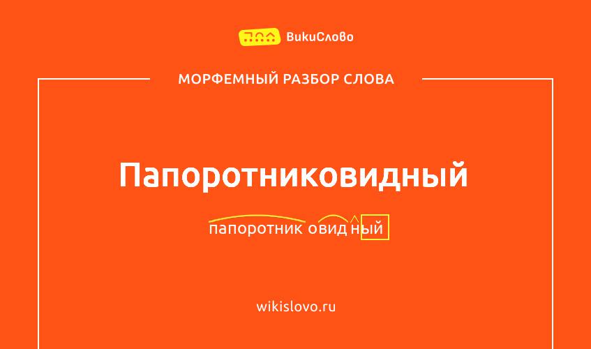 Морфемный разбор слова папоротниковидный