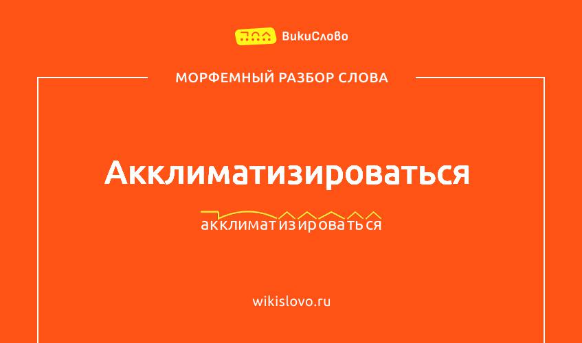 Морфемный разбор слова акклиматизироваться